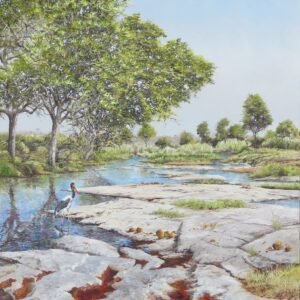 Saddle-billed stork on the Sand River