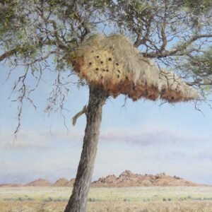 Sociable weaver nest in a camel thorn, Namibia